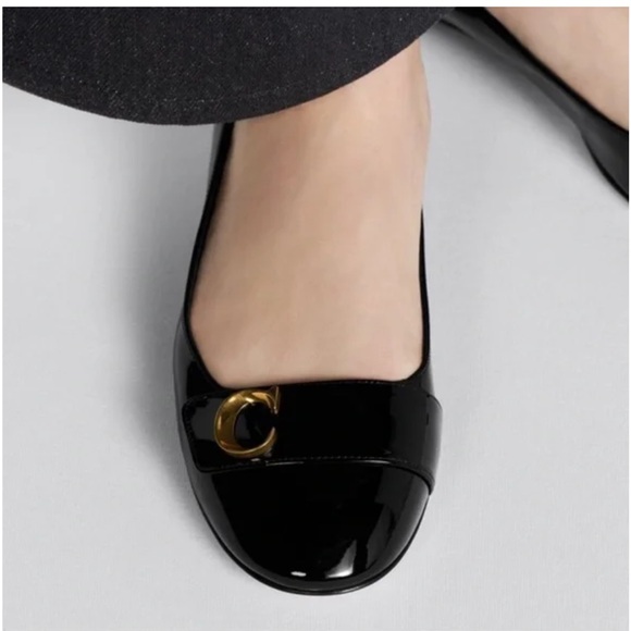 Christian Dior C'EST DIOR BALLET FLAT - Picture 3 of 13